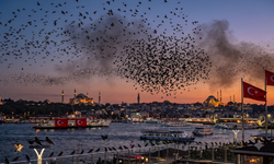Pakistan‘dan gelip İstanbul’u istila ettiler! Sayıları her geçen gün artıyor