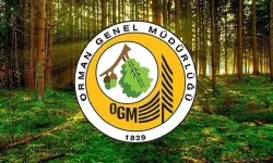 O İli Kapsayan Yeni Orman İşletme Müdürlüğü Açıldı!