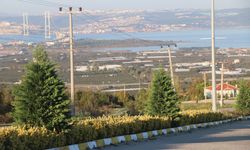 Yalova Subaşı Belediyesi Memur Alacak! İşte Başvuru Şartları