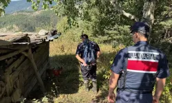 Artvin'de 30 Yıllık Cinayet Firarisi Mağarada Bulundu