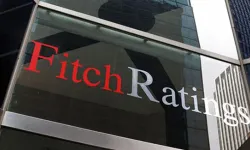 Dolar 51 TL olacak: Fitch'ten enflasyon tahmini