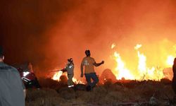 Bodrum'da Makilik Alanda Yangın: Alevler Rüzgarla Yayıldı