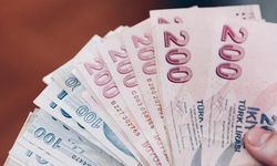 OVP’de yeni dönem: Türk lirası mevduatın payı artırılacak