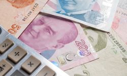 TÜİK açıkladı: Türkiye'de ailelerin parası en çok buraya gidiyor