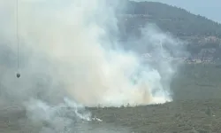 Bodrum orman yangını: “102 personel ile müdahale ediliyor”