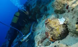 Denizden 4 bin 700 yıllık sır çıktı: Antalya’daki batık dünya gündeminde