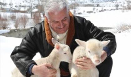 Başbakan Yıldırım, Erzincan'da kuzularla fotoğraf çektirdi