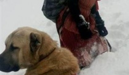 Sosyal medyada büyük beğeni alan fotoğrafın sırrı çözüldü