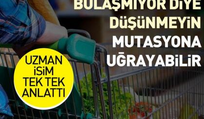 Uzman isim uyardı: 'Koronavirüs gıdadan bulaşmıyor diye düşünmeyin, mutasyona uğrayabilir'