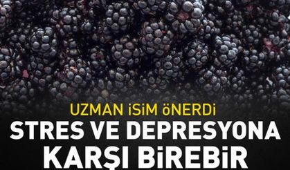 Stres ve depresyona karşı birebir!