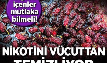 Sigara isteğini azaltıp nikotin ve toksinlerden arındıran 9 besin!