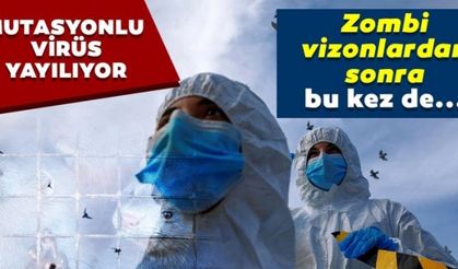 Dünya bu haberi konuşuyor! Mutasyonlu corona virüs yayılıyor: Zombi vizonlardan sonra kediler de...