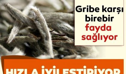 Gribe karşı birebir fayda sağlıyor! İşte hızla iyileştiren süper besin...