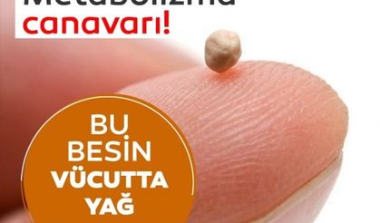 Metabolizma canavarı! İşte metabolizmayı canlandırarak vücutta yağ bırakmayan besinler...