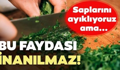 Maydanoz sapının bu faydalarına inanamayacaksınız!