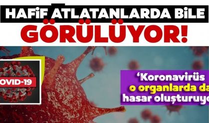 Koronavirüs uyarısı korkuttu! Uzman isim ‘Eski haline döndürmek mümkün olmaz’ diyerek açıkladı