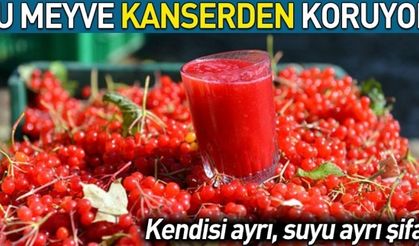 Gilaburu meyvesi kanserden koruyor