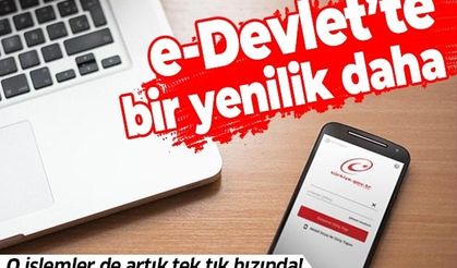 Son dakika: e-Devlet'te bir yenilik daha! Dijital Dönüşüm Ofisi açıkladı