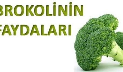 BROKOLİNİN FAYDALARI NELERDİR ?