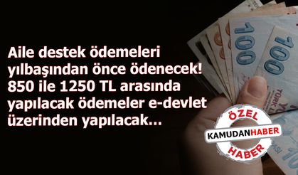 Aile destek ödemeleri yılbaşından önce ödenecek! 850 ile1250 TL arasında yapılacak ödemeler e-devlet üzerinden yapılacak