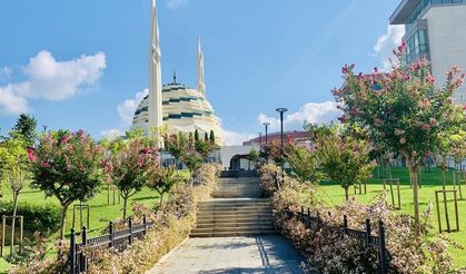 2026 Üniversitelerde En İyi İlahiyat Bölümleri Belli Oldu! İşte İlahiyat Fakülteleri Listesi