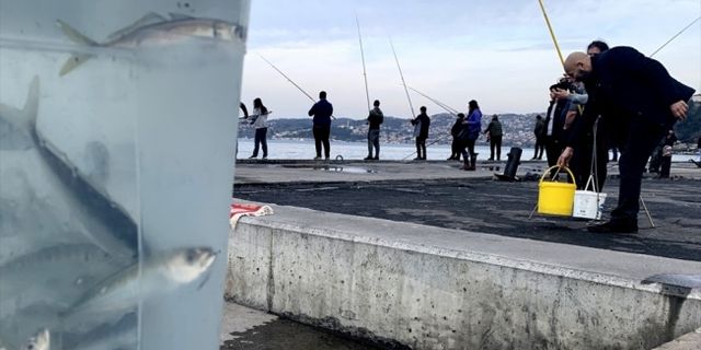 Beykoz'da balıkçılar sahile akın etti