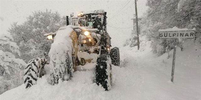 Denizli, Adana, Kars, Muğla, Tunceli, Konya, Aksaray, Bingöl ve Karaman'da okullar kar yağışı nedeniyle tatil edildi.