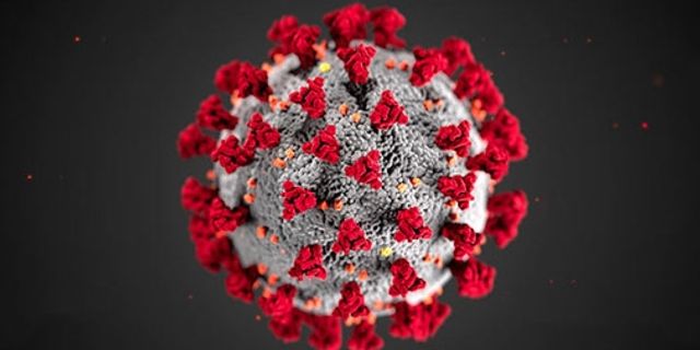 Koronavirüs bitmeden bir salgın hastalık daha yayılıyor! Lassa ateşinde ilk ölüm