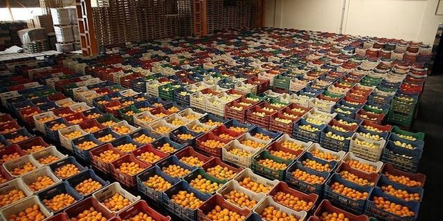 Nisan ayı yaş meyve sebze ihracatı 210 milyon doları aştı
