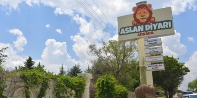 Bakanlık Ankara'daki hayvanat bahçesini 'kükremelerin psikolojiyi bozduğu' gerekçesiyle kapatıyor