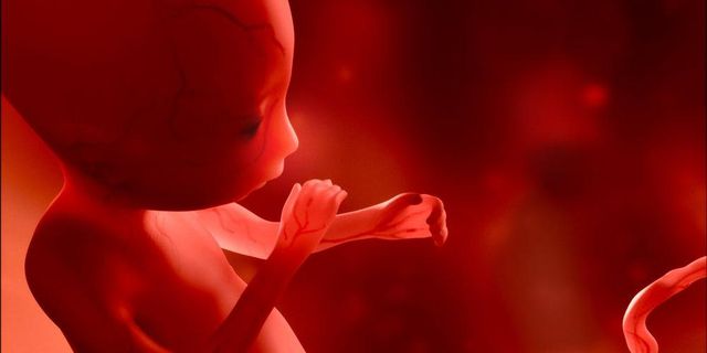 Bilim dünyasından ilginç adım: Yapay embriyo