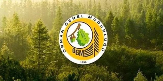 Orman Genel Müdürlüğü’nden alım ilanı! 109 sözleşmeli personel alımı!