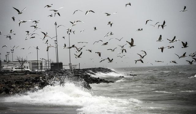 Meteoroloji'den kritik alarm: O illerde yağış etkili olacak