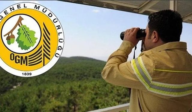 Orman Genel Müdürlüğü'ne 64 işçi alınacak! Başvuru tarihleri belli oldu