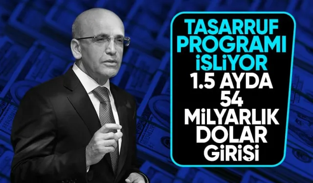 Bakan Şimşek duyurdu: Tasarruf programında 1.5 ayda 54 milyar dolar girişi oldu