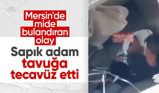 Mersin'de Mide Bulandıran Olay: Sapık Tavuğa Tecavüz Etti