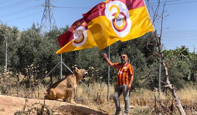 Diyarbakırlı Taraftar, Galatasaray’ın 24. Şampiyonluğunu Aslanlarıyla Kutladı