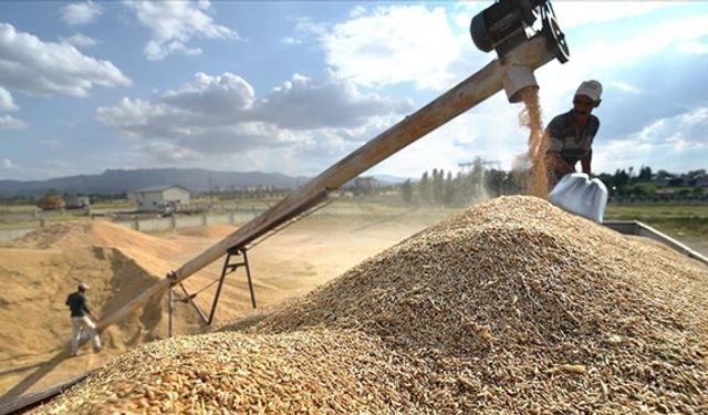 Hazine ve Maliye Bakanlığı Çiftçinin Hububat Fiyatlarına Müdahil Oldu