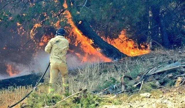 Valilik açıkladı: Orman yangınlarına karşı dikkatli olun