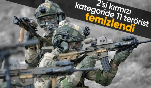 Batman Kırsalında "Bozdoğan-45" Operasyonu: Kırmızı Kategorideki 2 Terörist Etkisiz Hale Getirildi