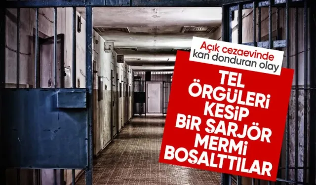 Elazığ'da açık cezaevinde kan donduran olay! Tel örgüyü kesip mahkuma kurşun yağdırdılar