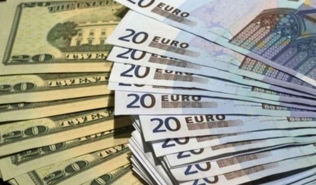 Dolar ve Euro'da Bu Haftaya Dikkat: 29 Temmuz 2024 Döviz Fiyatları