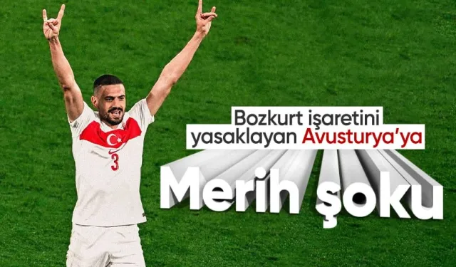 Merih Demiral neden "bozkurt" işareti yaptı?