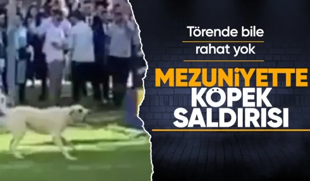 Mezuniyet Töreninde Başıboş Köpek Saldırısı: Öğrenciler Zor Anlar Yaşadı