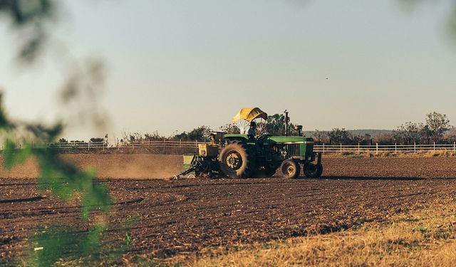 Hububat Alım Fiyatı Düştü: Piyasa İçin Referans Olmalı