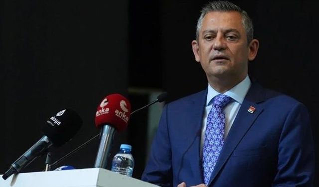 Özgür Özel: Sahipsiz hayvanlarla ilgili kanunu AYM'ye götüreceğiz