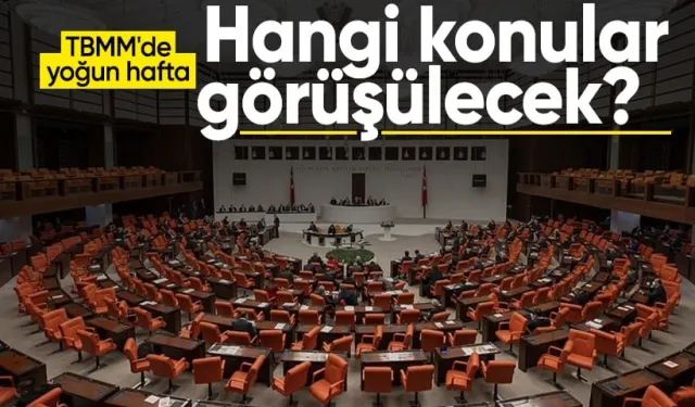 TBMM'de bu hafta hangi konuların görüşüleceği belli oldu