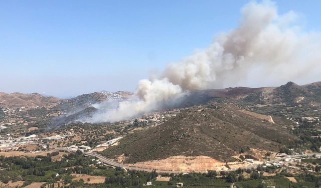 İzmir'den Sonra Karabük ve Aydın'da Orman Yangınları Çıktı