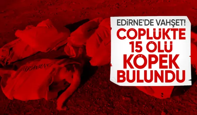 Edirne'de Çöplükte 15 Köpek Ölü Bulundu: Belediye Başkanı Suç Duyurusunda Bulundu