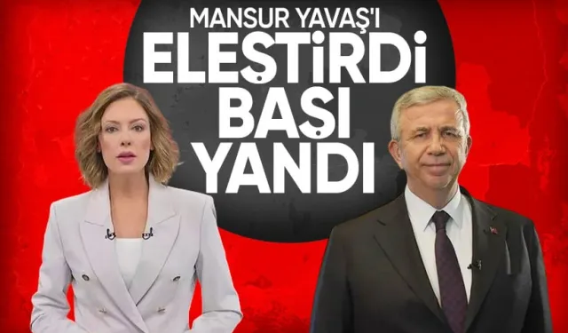 Mansur Yavaş'ı eleştiren paylaşımı sebebiyle Gülbin Tosun zorunlu izne çıkarıldı